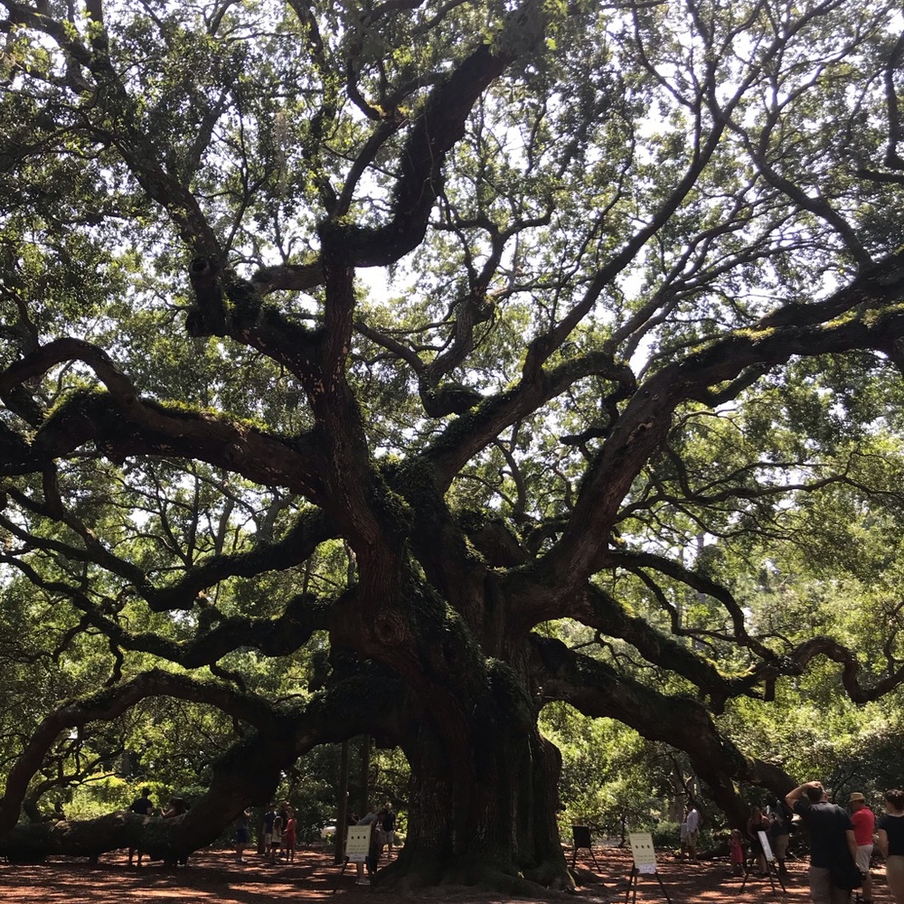 Meet your Posher, Robbin